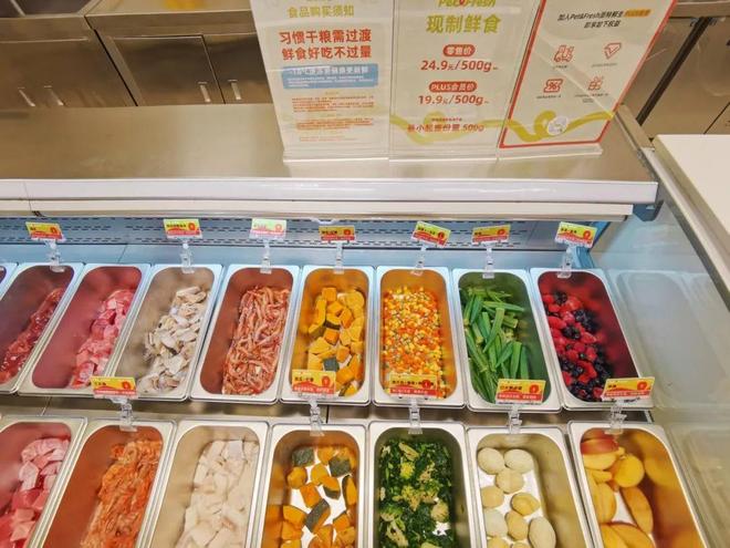 经济”正在成为城市经济的新亮点九游会·j9网站长宁的“宠物(图2)