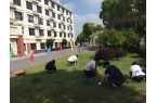 5年公建民营敬老院价格表地址点击咨询九游